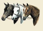 Hunter, Equine Art - Hunter Ponies